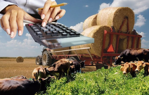 Elimizde aýyl sharýashylyǵy sanaǵy bastaldy