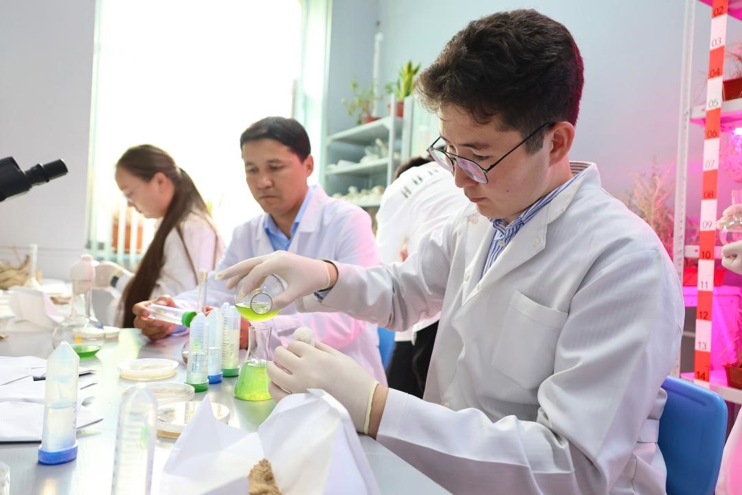 Ilkimdi izdenis nátıjesi