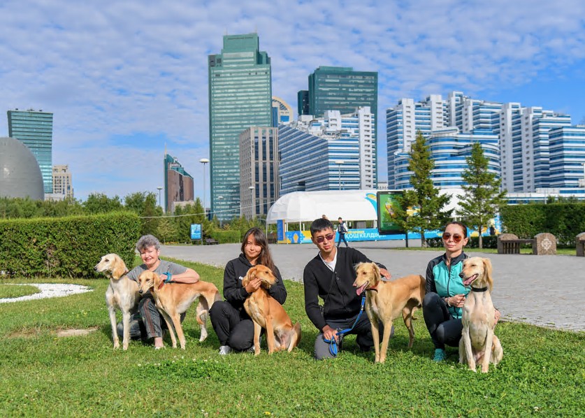 Qazaq tazysy halyqaralyq kórmege qatysady