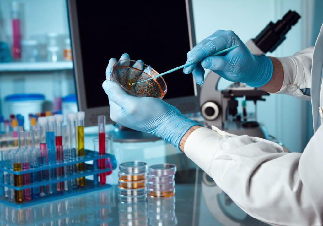 Elimizde agrarlyq tehnopark qurý jobasy qolǵa alyndy