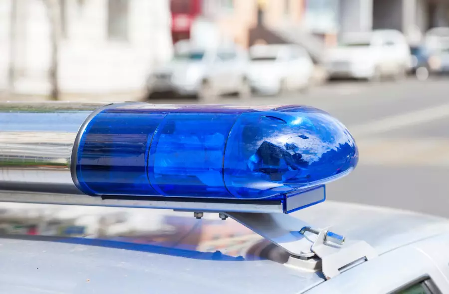 «Kontrafakt» jedel is-sharasy kezinde 272 adam ustaldy