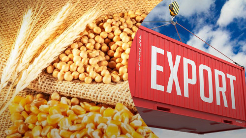 Qazaq agroeksporty qalaı rekord ornatty?