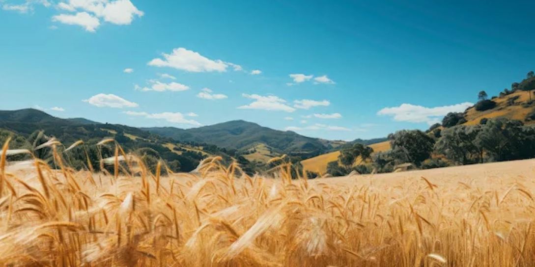 Qazaqstannyń astyq eksportynyń geografııalyq aýmaǵy keńeıdi