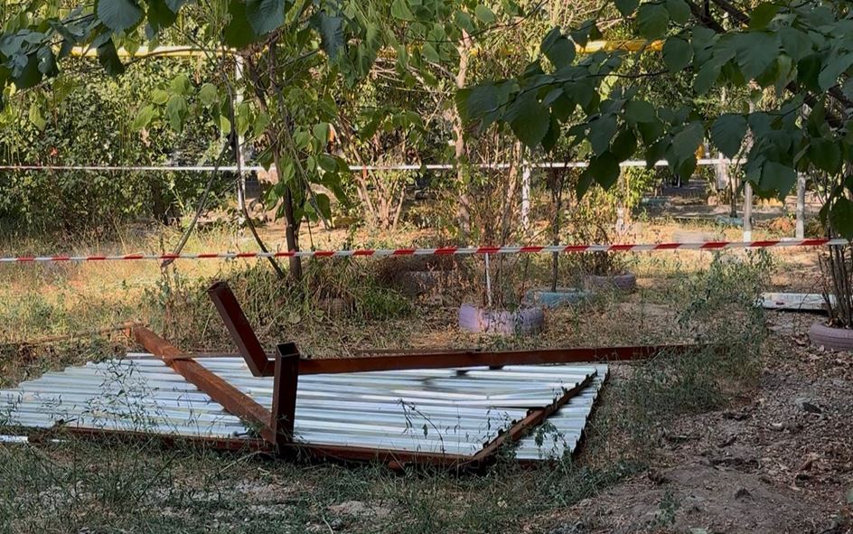 Zańsyz jer telimi memleketke qaıtaryldy