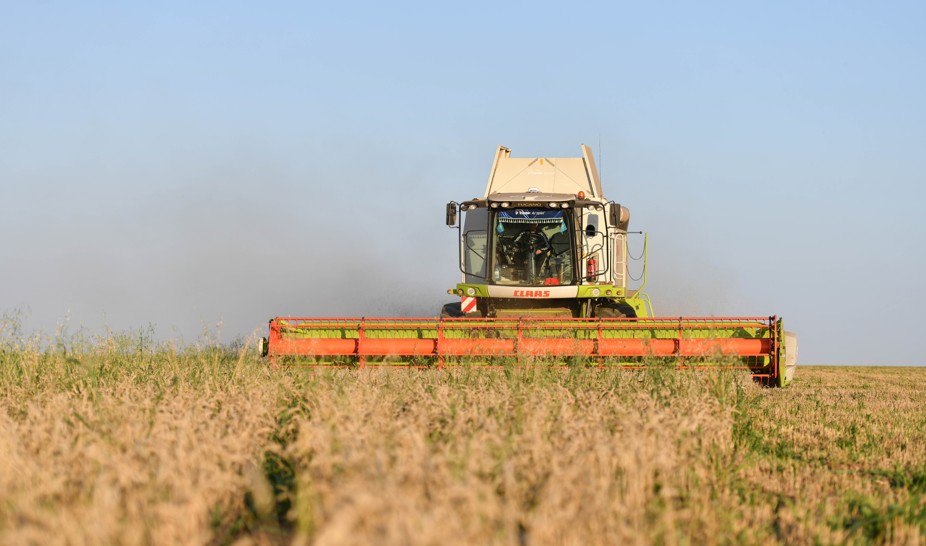 Qamba dánge tolar kún jaqyn