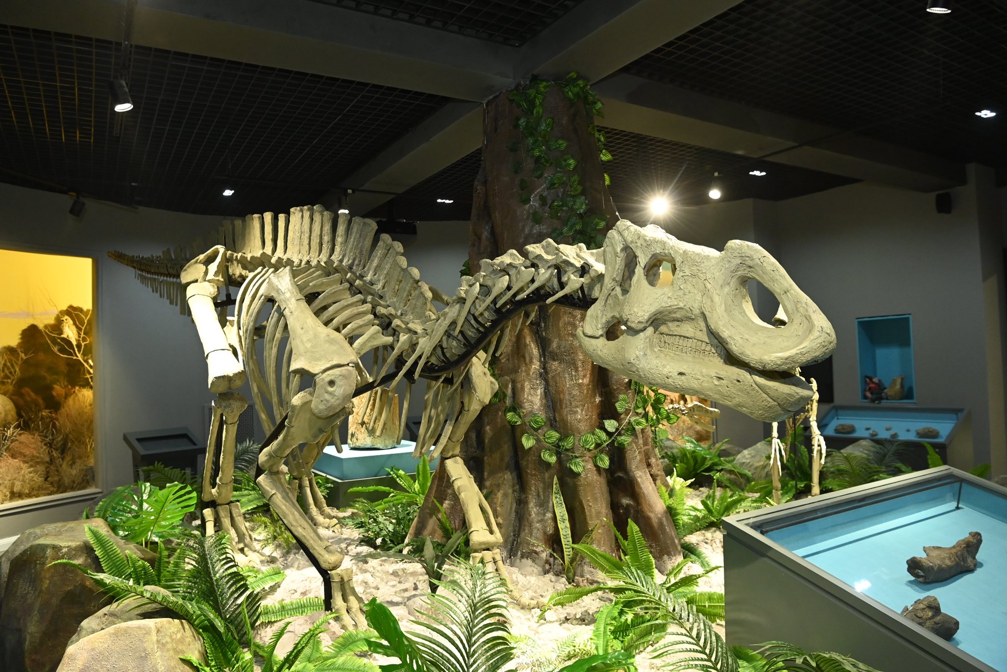 «Aralozavr» Syrǵa qaıta oraldy