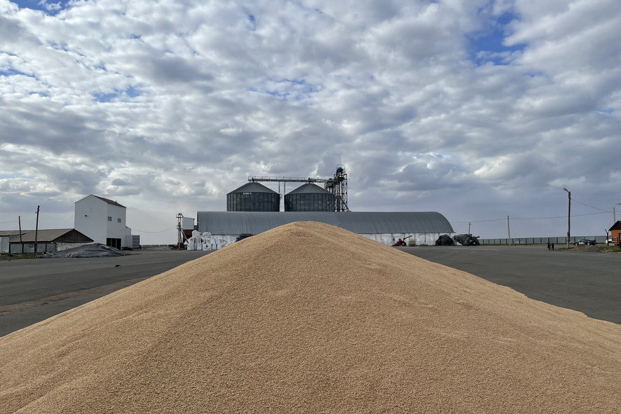 Qostanaı oblysynda 34 astyq qabyldaý orny daıyndaldy