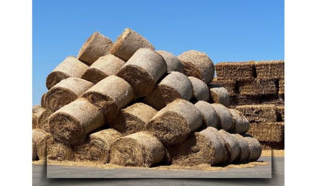 Elimizde mal azyǵyn ázirleý jumystary qarqyndy júrip jatyr