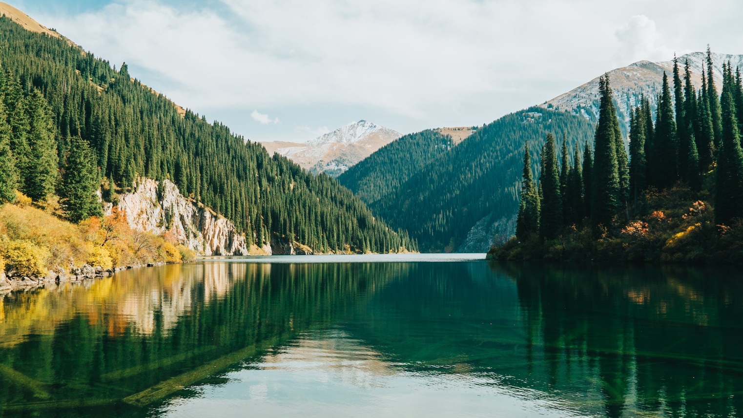 Arab elderi qyzyǵýshylyq tanytyp otyr