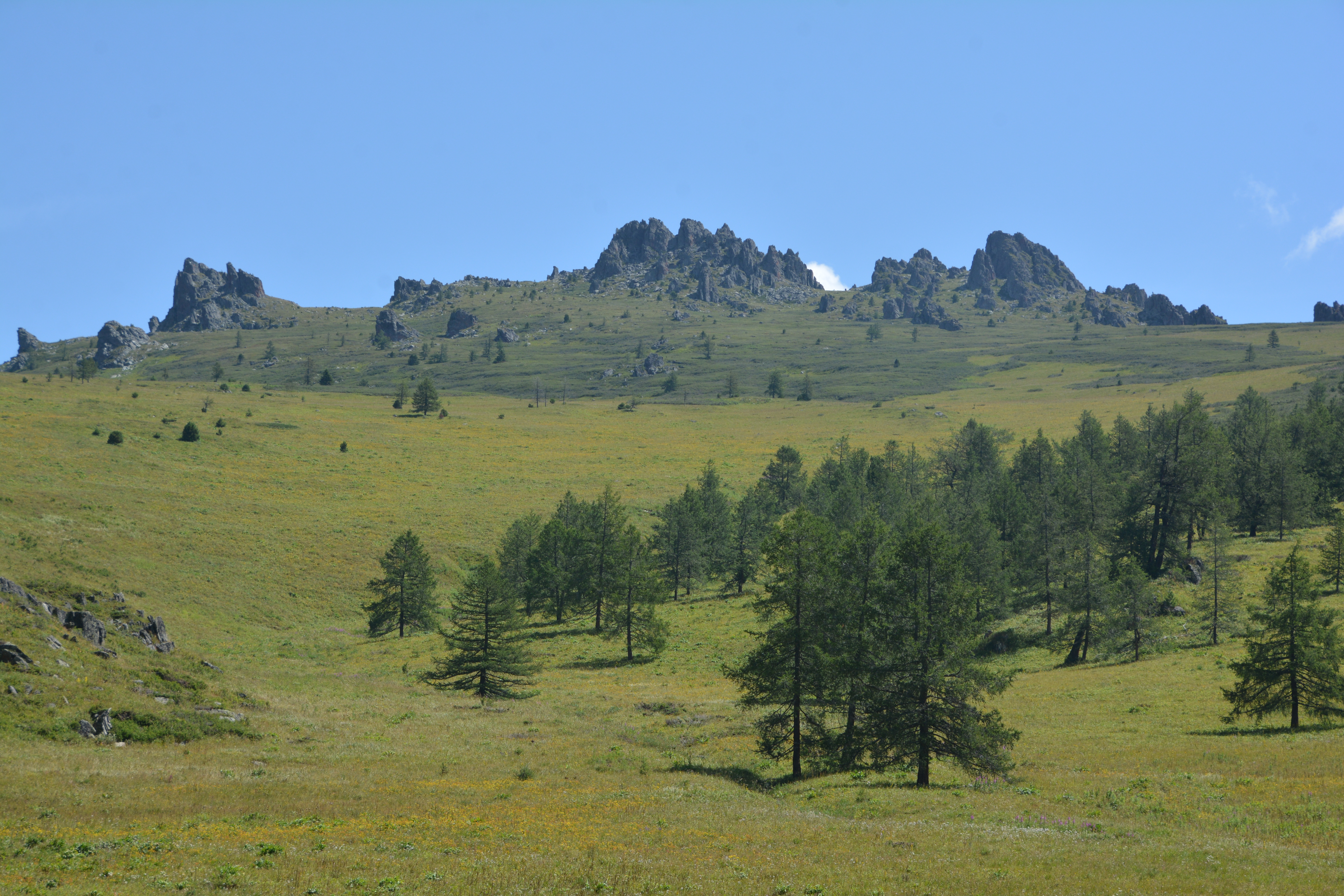 ShQO ormandaryn órtten qorǵaý sharalary kúsheıtildi