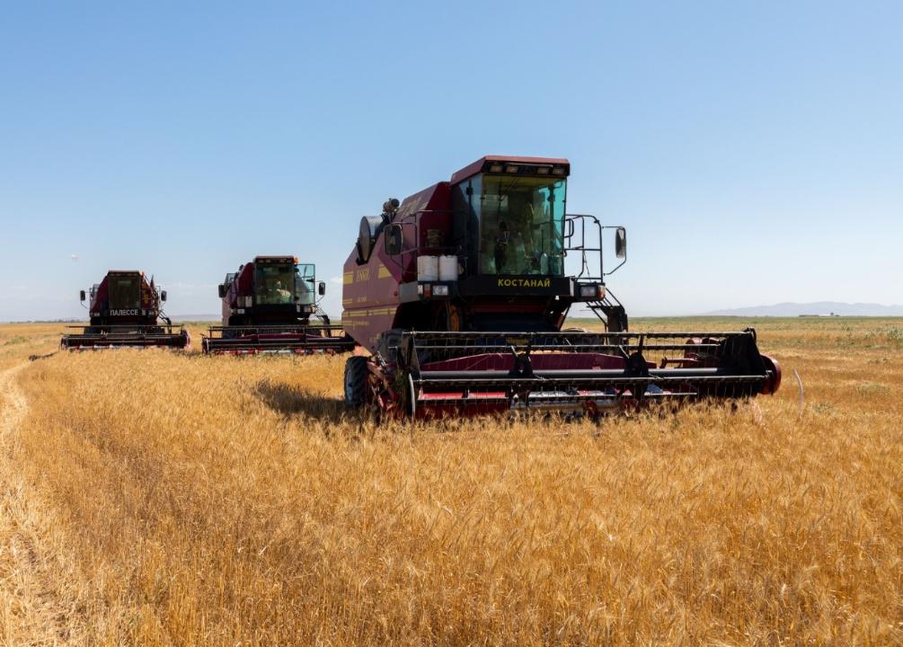 4 mıllıon tonnaǵa jýyq aýyl sharýashylyǵy ónimin jınamaq