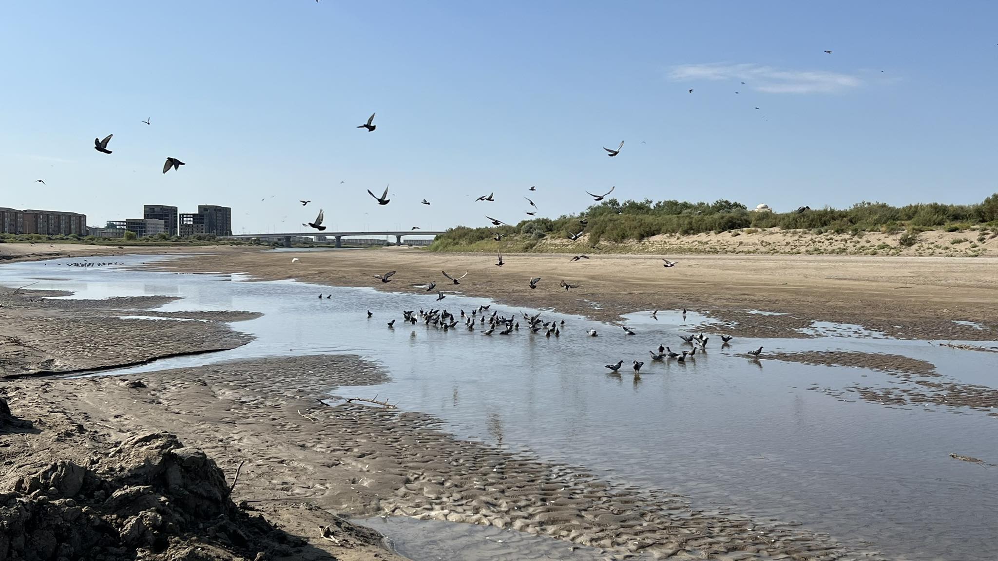 «Kúrishti kóbeıtemiz» dep Araldy qurǵatyp almaımyz ba?
