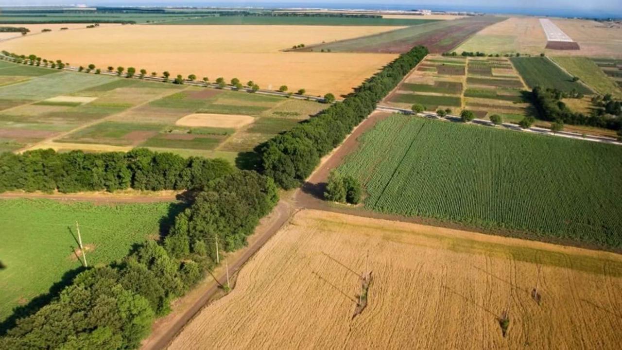 Alataý qalasynda 5 mlrd teńgeniń jeri memleketke qaıtaryldy