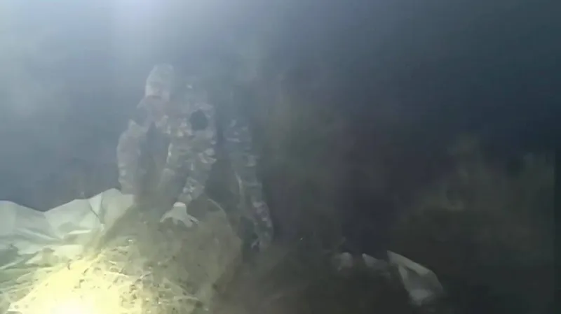 Jambyl oblysynda 200 keliden astam esirtki tárkilendi