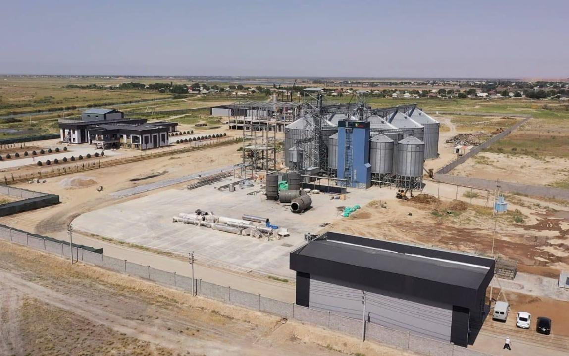 Bıyl elimizde krahmal-sirne zaýyty iske qosylady