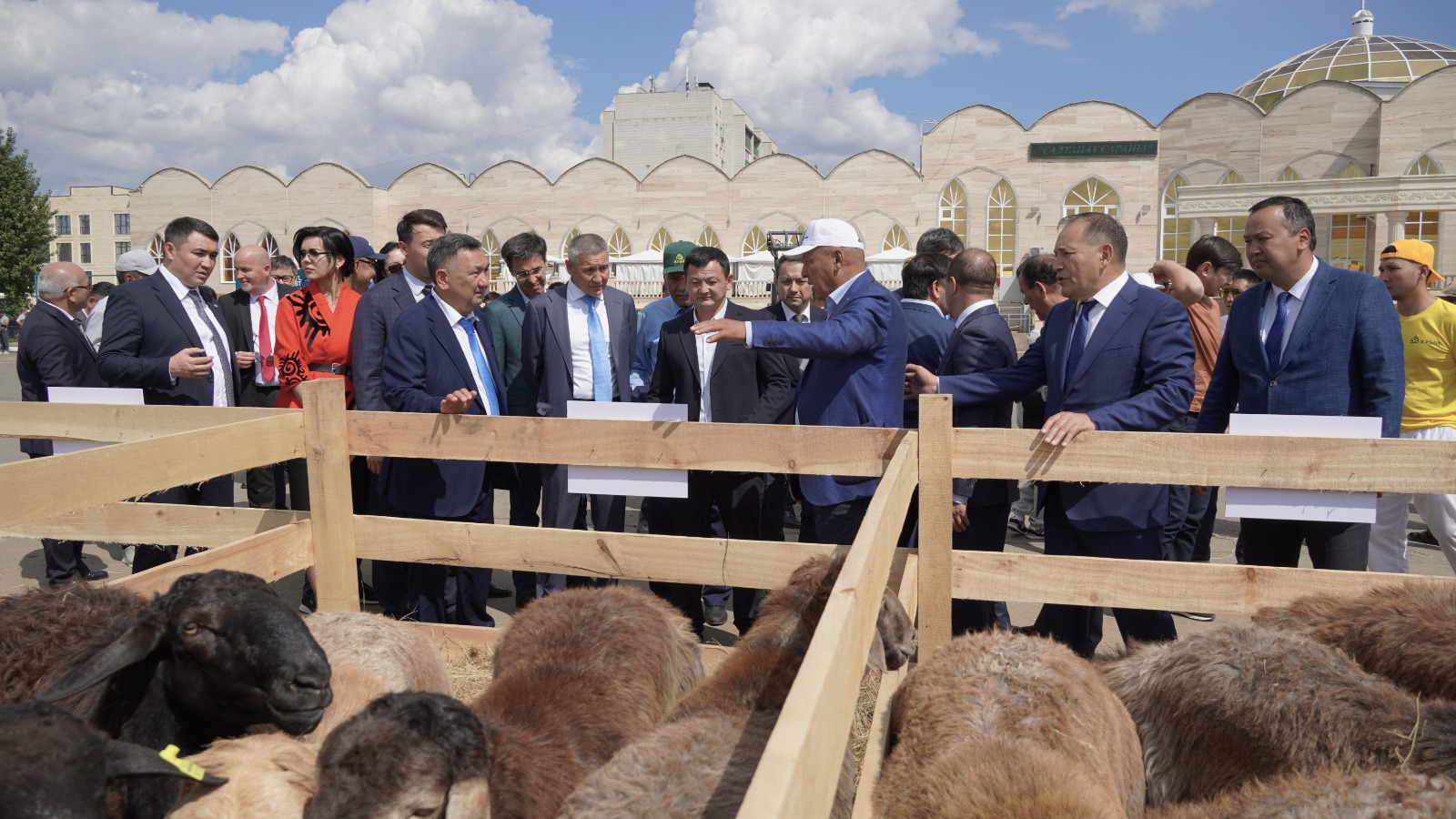 Qoı sany kemip barady