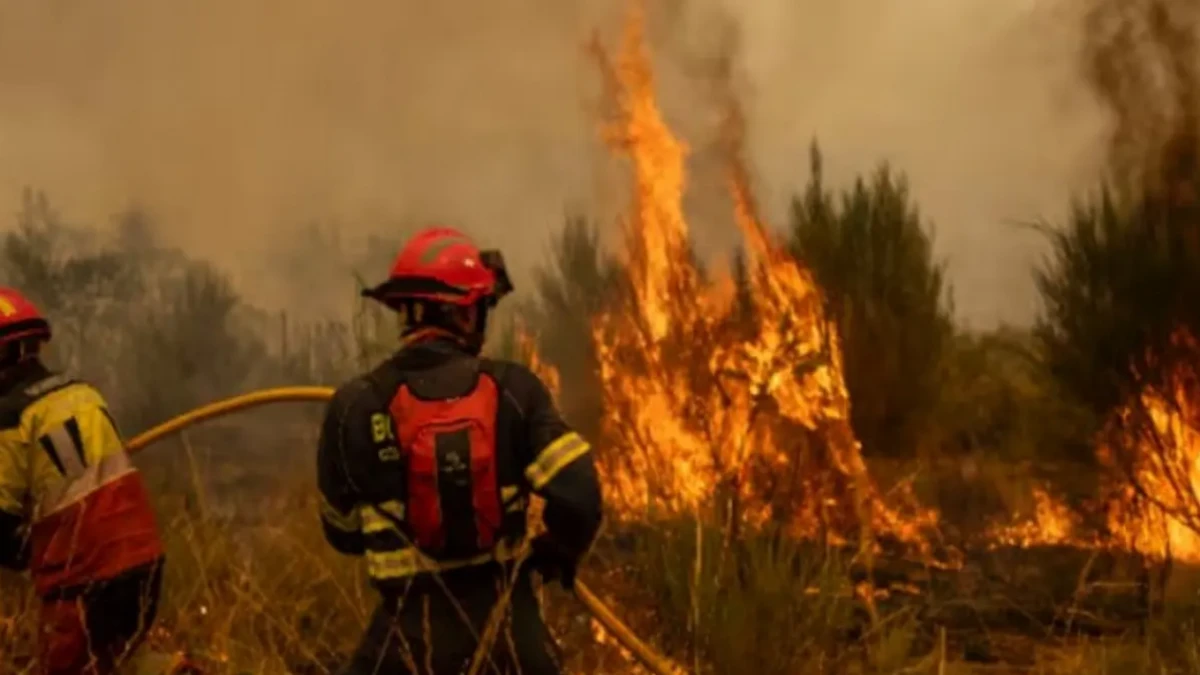 Ispanııada orman órtine qatysy bar 48 adam ustaldy