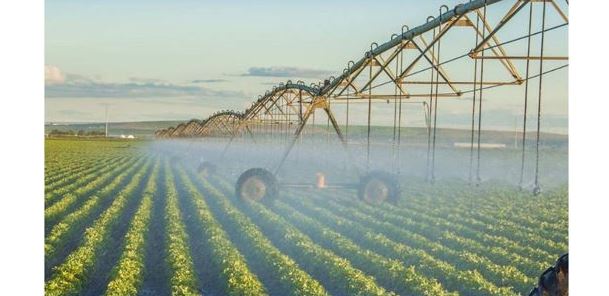 Elimizde sýarý maýsymy aıaqtalýǵa taıaý