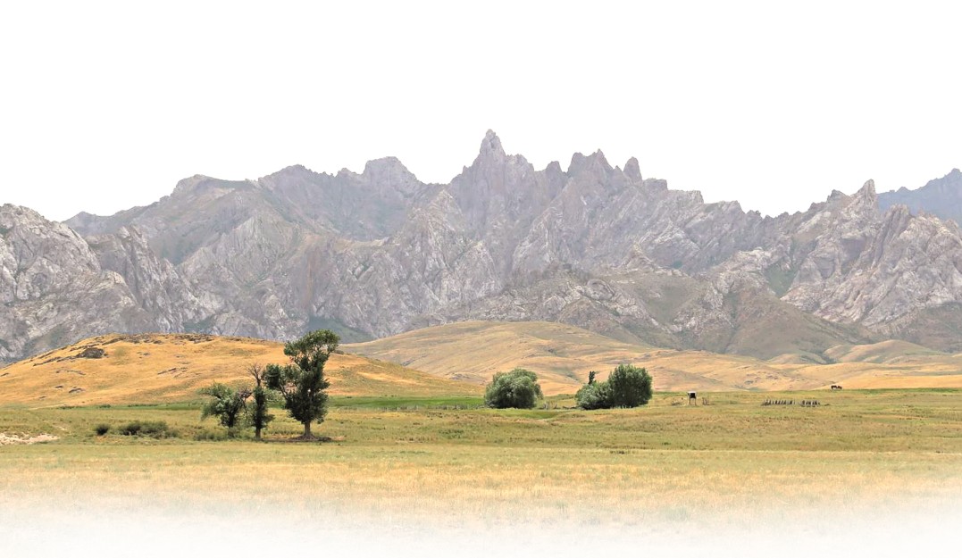 «Aýyl ǵana aýyspaıtyn astana»