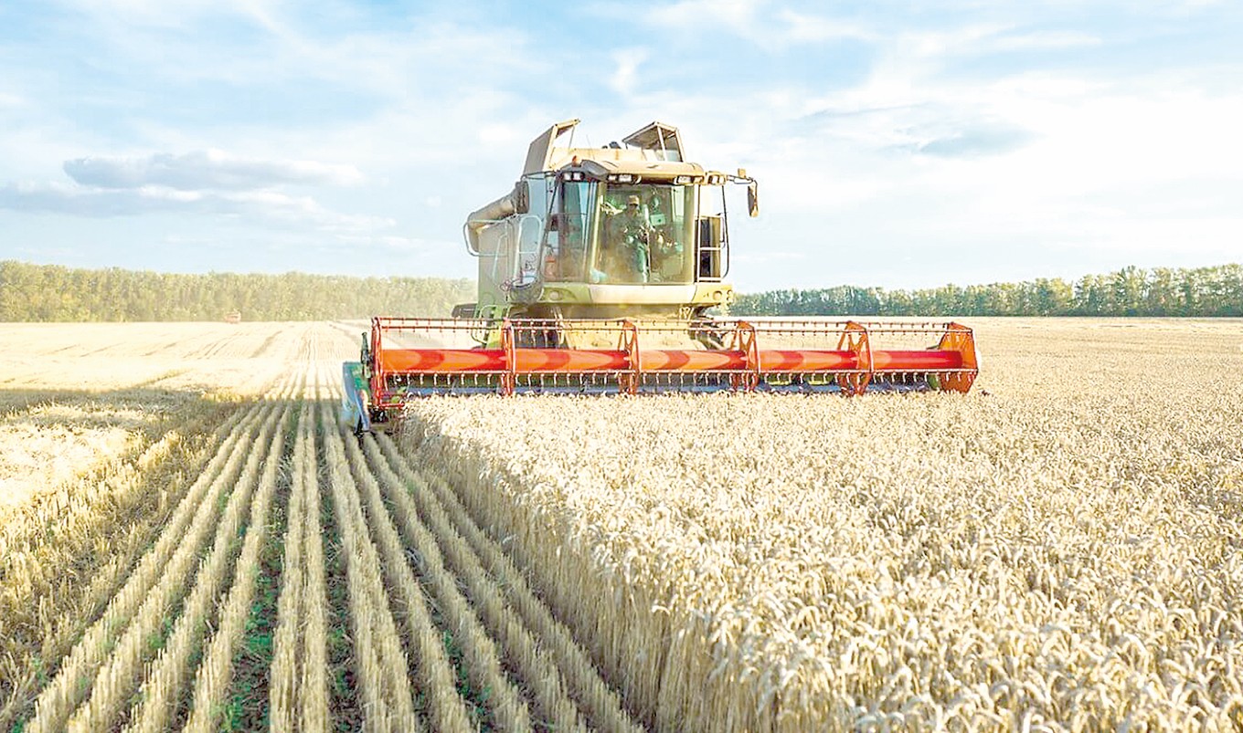 Elimizde 5,9 mln tonna astyq jınaldy