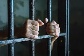 Áleýmettik osal jandardyń atynan zańsyz nesıe rásimdegen top ustaldy