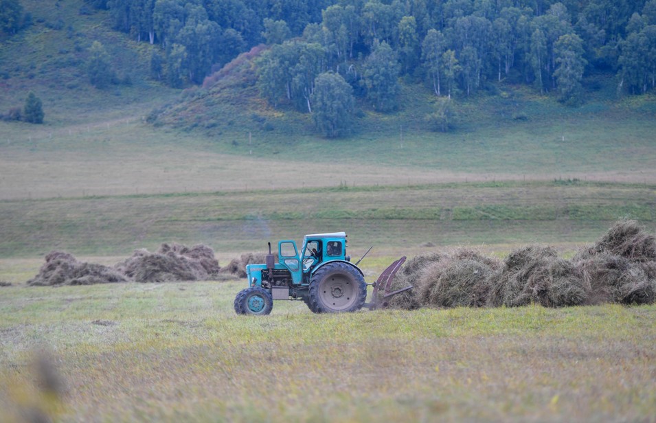 Shabyndyqqa shalǵy tústi