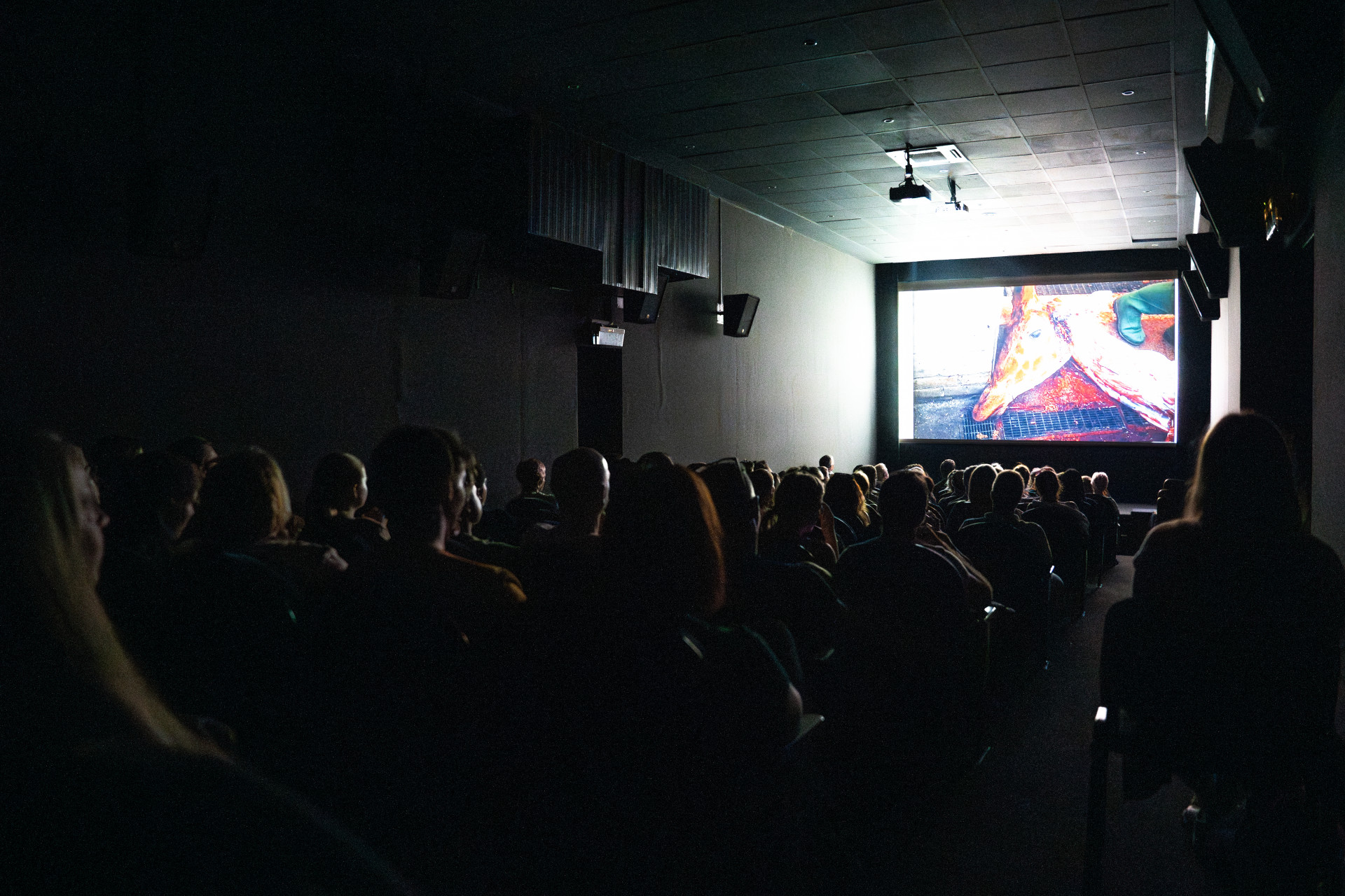 Qazaq kınosy halyqaralyq kınofestıvalde eki júlde jeńip aldy