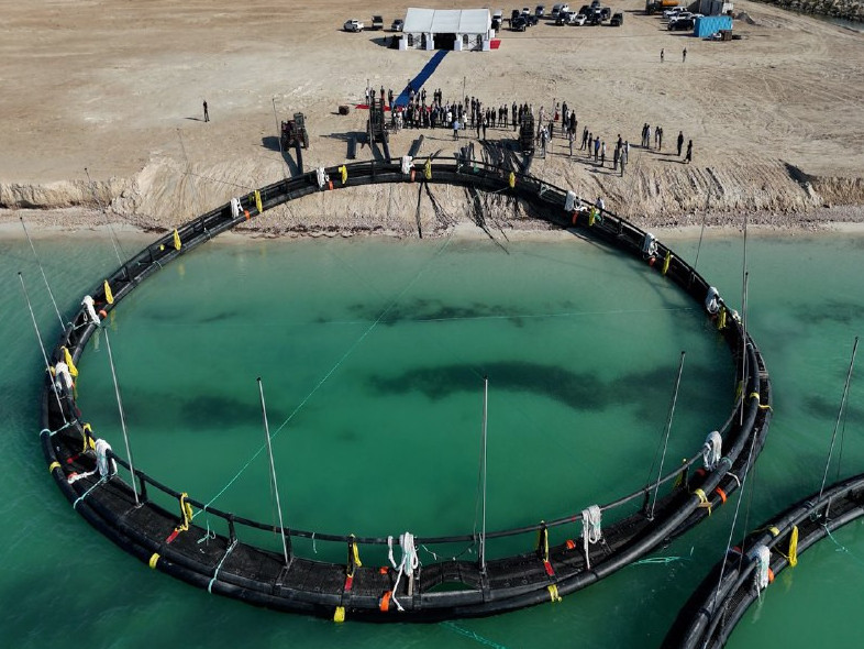 Mańǵystaýda Ortalyq Azııadaǵy alǵashqy teńiz akvasharýashylyq jobasy iske qosyldy