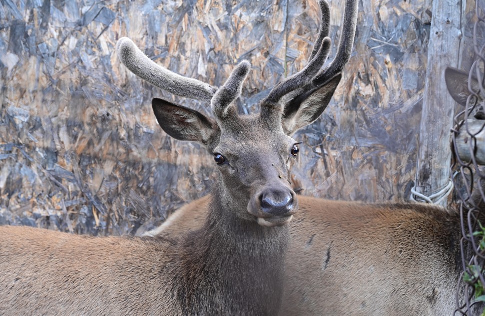 Ulttyq parkti qorǵaý – eldik másele