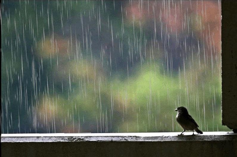 Qazaqstanda aldaǵy kúnderi aýa raıy qandaı bolady