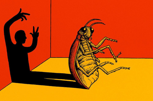 Áleýmettik parazıtızm: masyldyq máni nede?