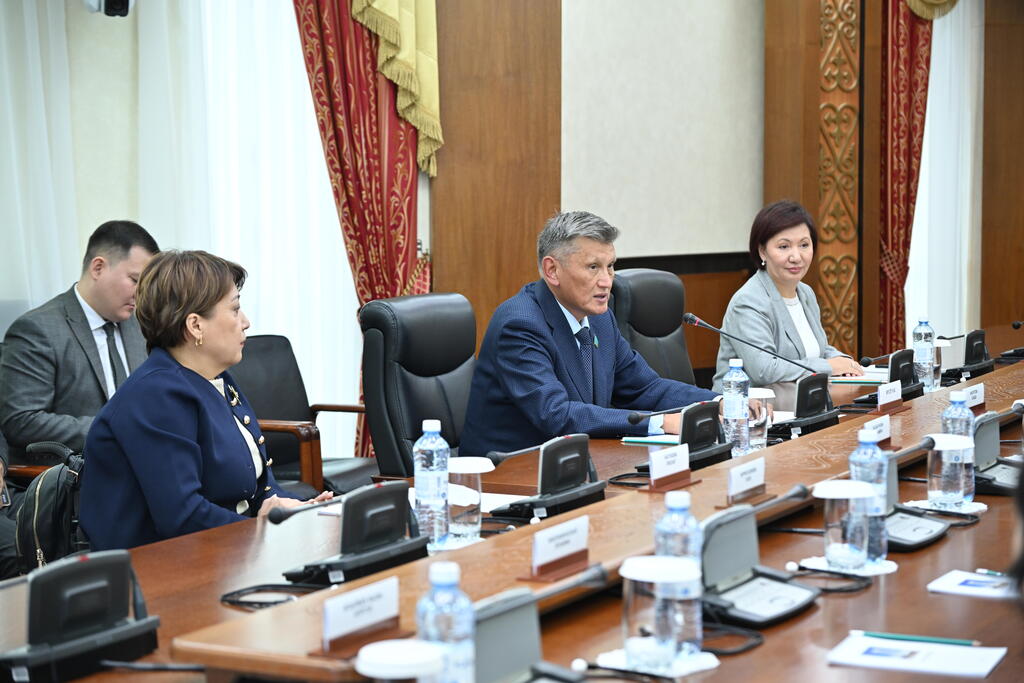 Senatorlar ınklıýzıvti saıasat máselesin talqylady