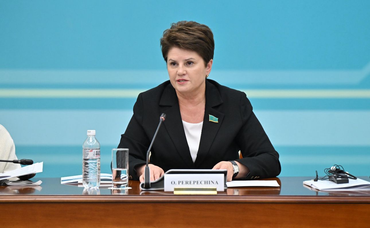 Olga Perepechına: Osal toptyń múddesin eskermeı ODM-ǵa qol jetkizý múmkin emes