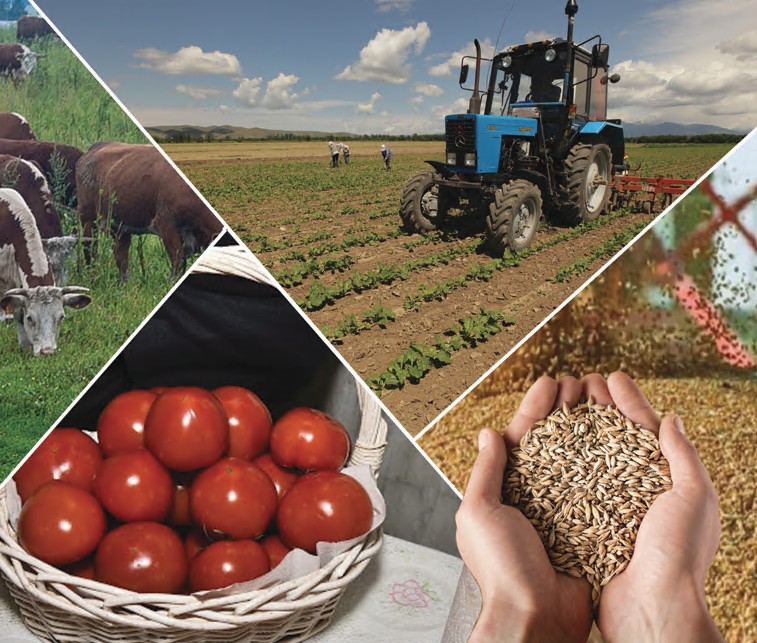 Aýyl sharýashylyǵy salasynyń júgi salmaqty