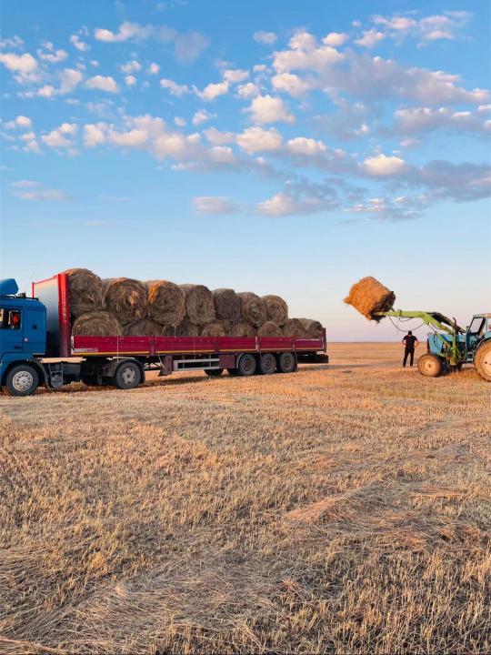 Qazaqstanda 28,9 mln tonna mal azyǵy daıyndaldy