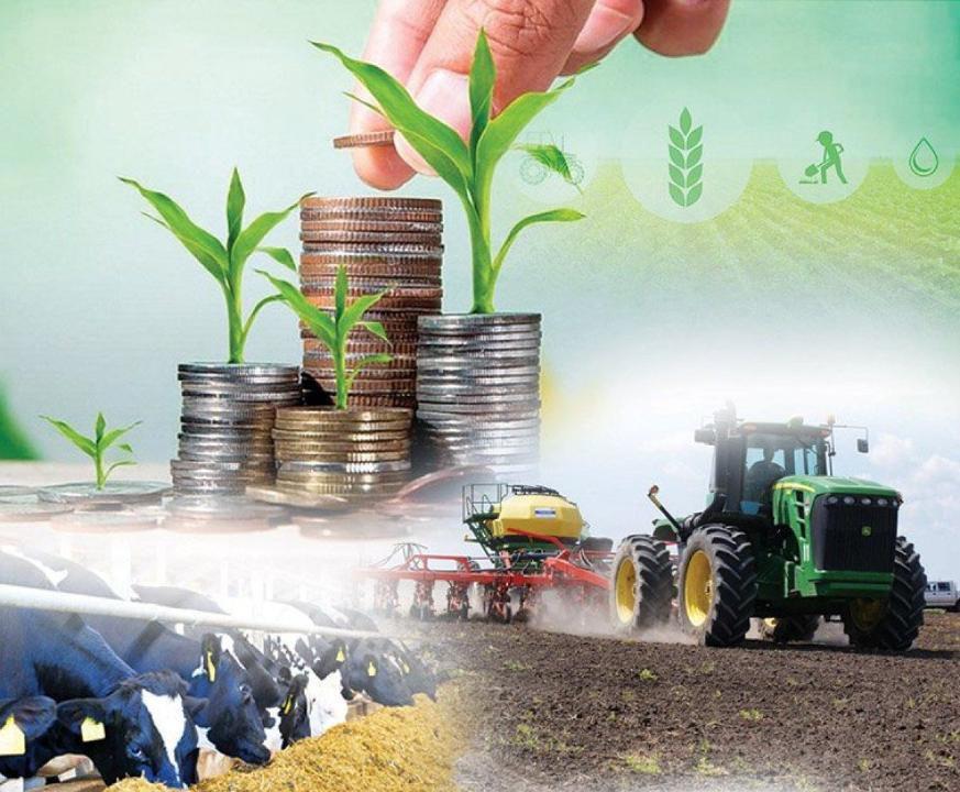 Aýyl sharýashylyǵynyń jalpy ónim kólemi 3,4%-ǵa ósip, 3,6 trln teńgege jetti