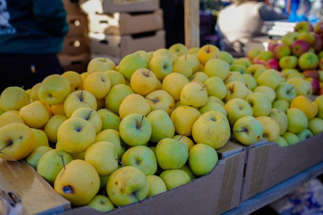 Astanada Aqtóbe men Qyzylorda oblystarynyń aýyl sharýashylyǵy jármeńkesi ótip jatyr
