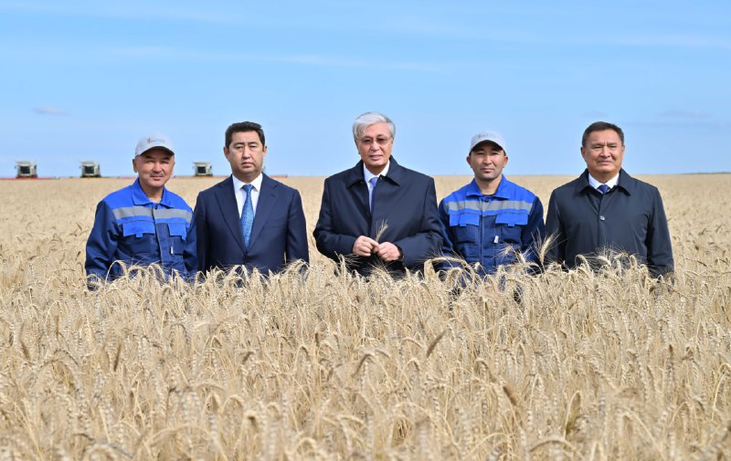 Memleket basshysy Aqmola oblysyndaǵy egin jınaý naýqanymen tanysty