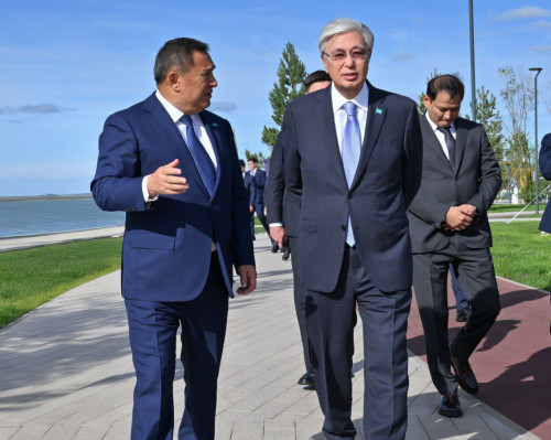 Prezıdentke «Kók shalǵyn»  jobasy tanystyryldy