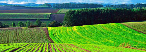 Memleket jerlerdi qaıta aınalymǵa engize bastady