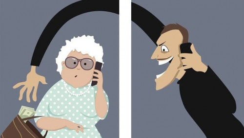 Shymkentte ınternet-alaıaqtyqpen aınalysqan qylmystyq top ustaldy