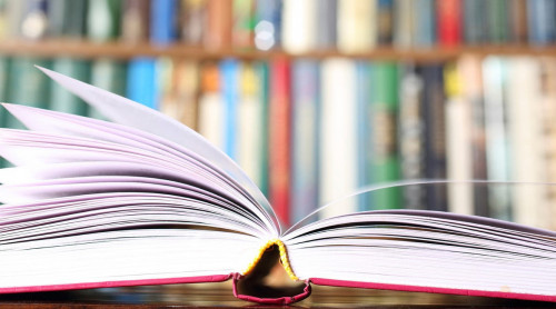 Aýǵanstanda áıelder jazǵan kitaptardy oqytýǵa tyıym salyndy