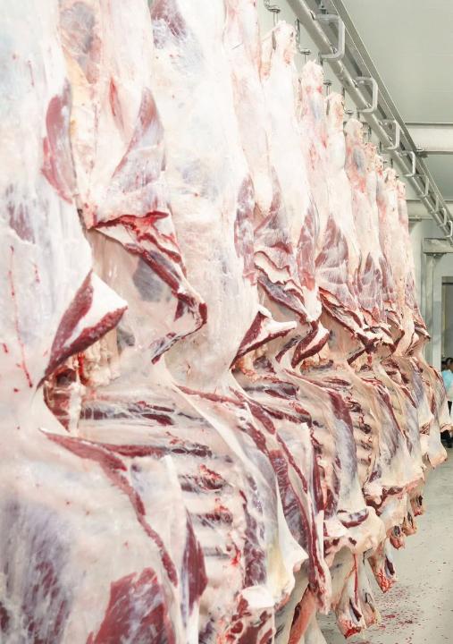 AShM: Sıyr eti baǵasy ózindik qun men et sapasyna baılanysty qalyptasady