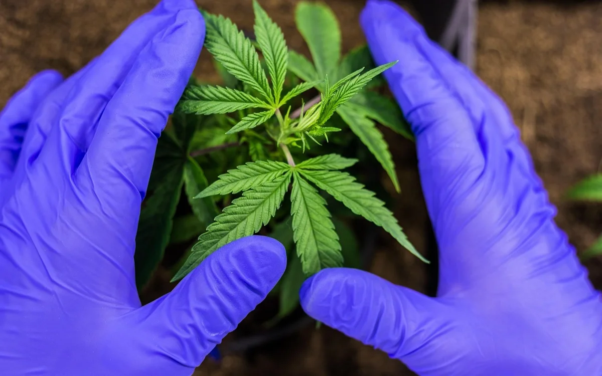 Elimizde bir aptada 750 keliden astam esirtki tárkilendi