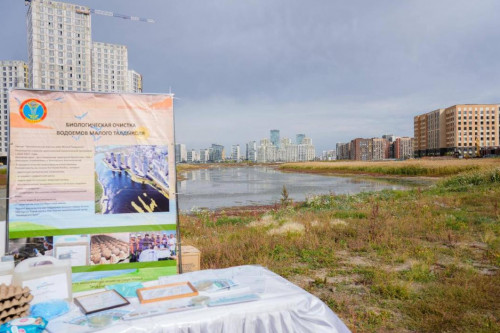 Taldykólde tazartý jumystary júrgizildi