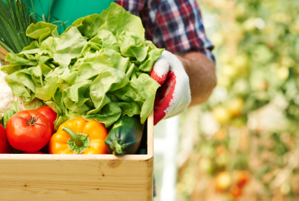 Aýyl sharýashylyǵy ónimderiniń baǵasy qatań baqylaýda bolady