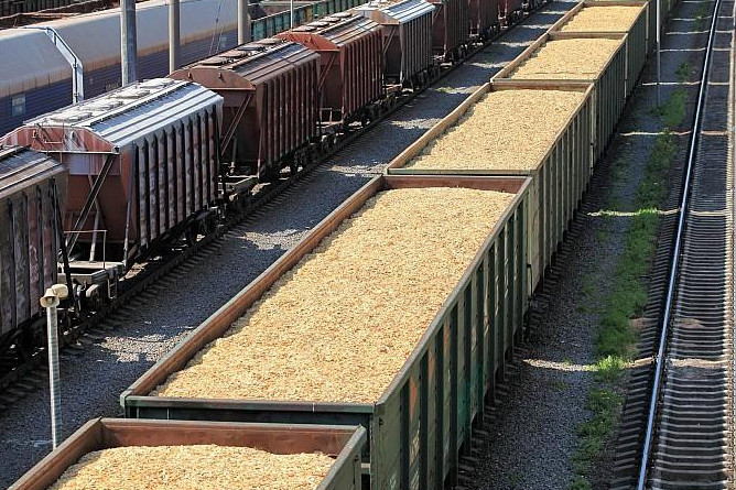 Bir jylda 13 mln tonnadan astam astyq tasymaldanǵan