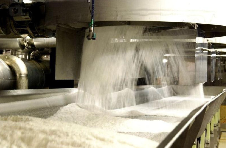 Qytaılyq kompanııa Qazaqstanda qant zaýytyn salady