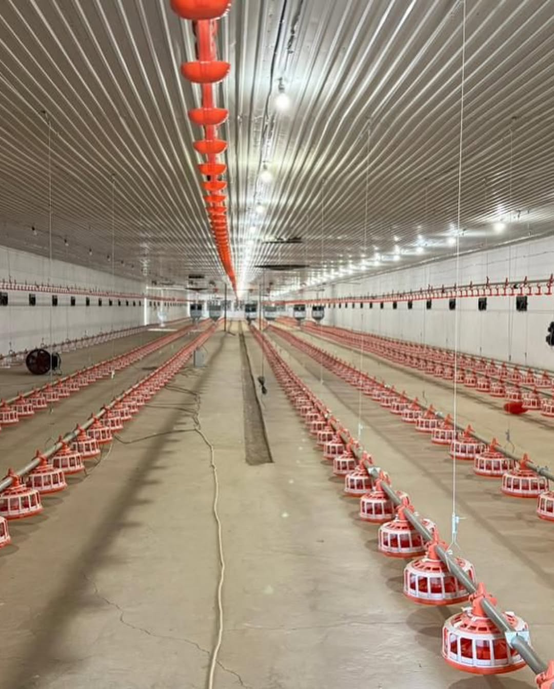 Importqa táýeldilik azaıady