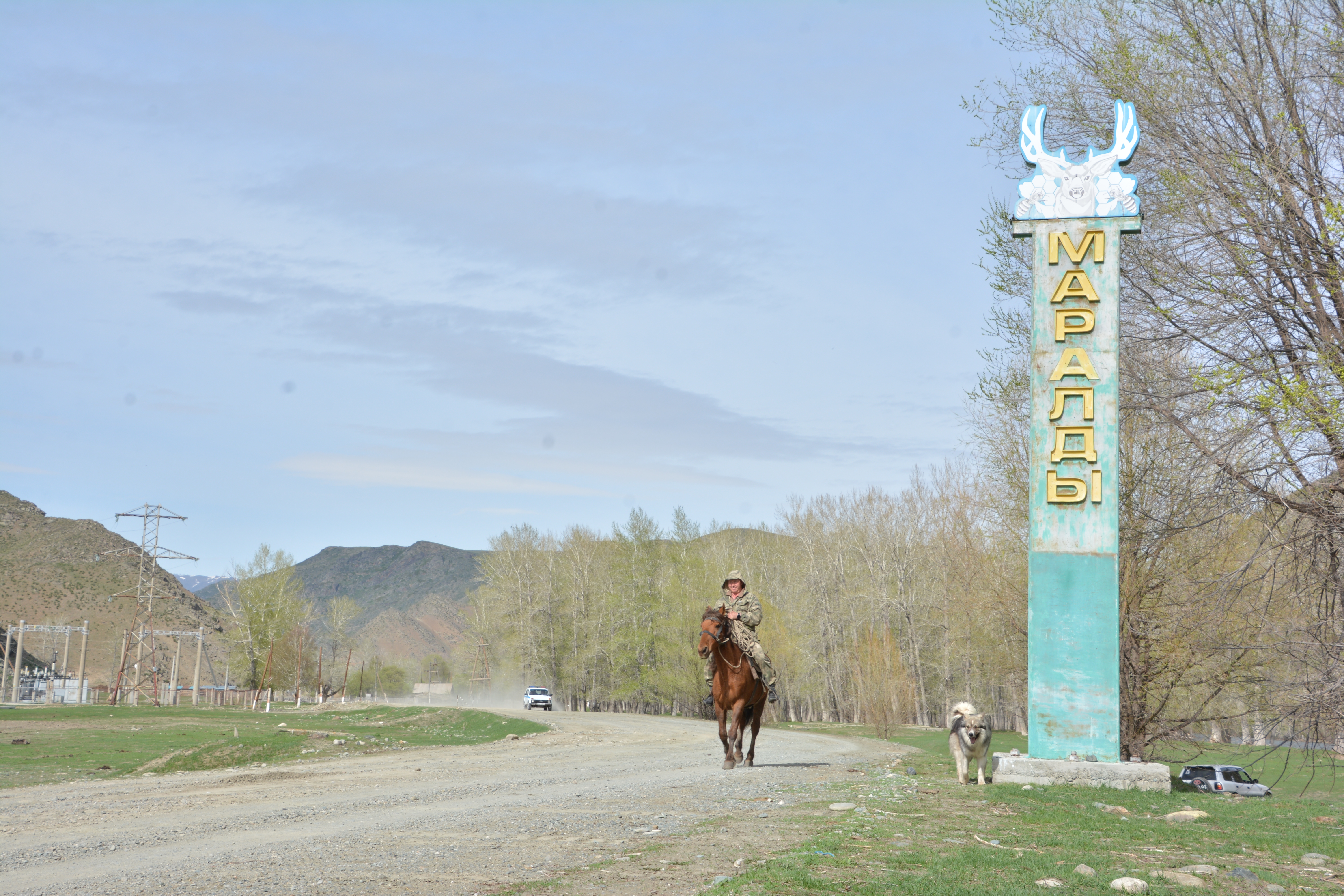 Maraldyda mal qyrylyp jatyr